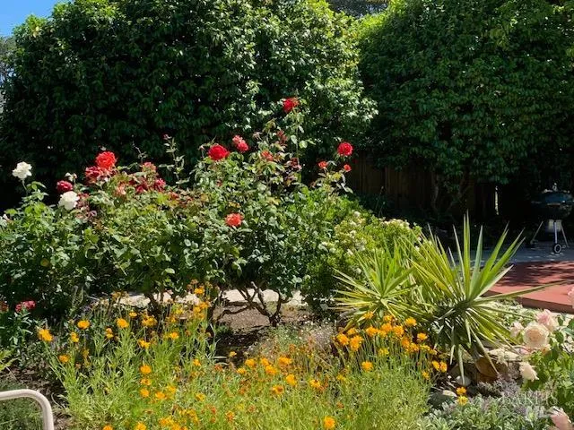 $1,495,000 | 55 Las Casas Drive, San Rafael, CA 94901