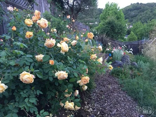 $1,495,000 | 55 Las Casas Drive, San Rafael, CA 94901