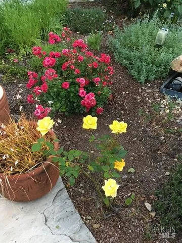 $1,495,000 | 55 Las Casas Drive, San Rafael, CA 94901