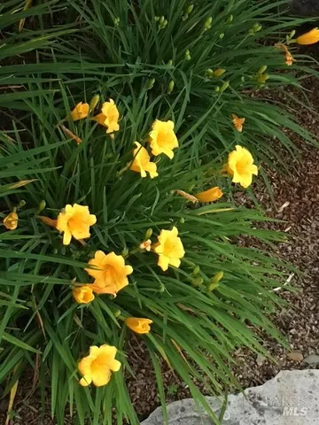 $1,495,000 | 55 Las Casas Drive, San Rafael, CA 94901