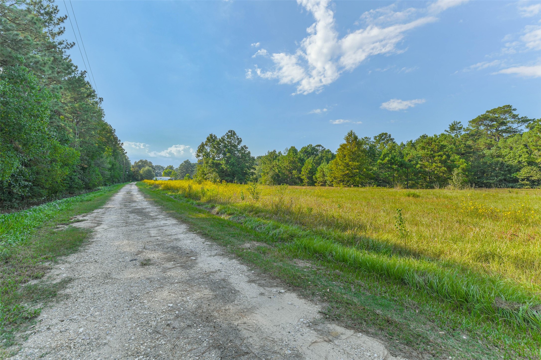 4869 Fm 2518 Cleveland, TX 77327 - Photo 41 of 41 a view of a lake with a big yard