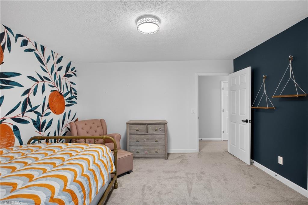 2991 Spero Road Randleman, NC 27317 - Photo 20 of 50
