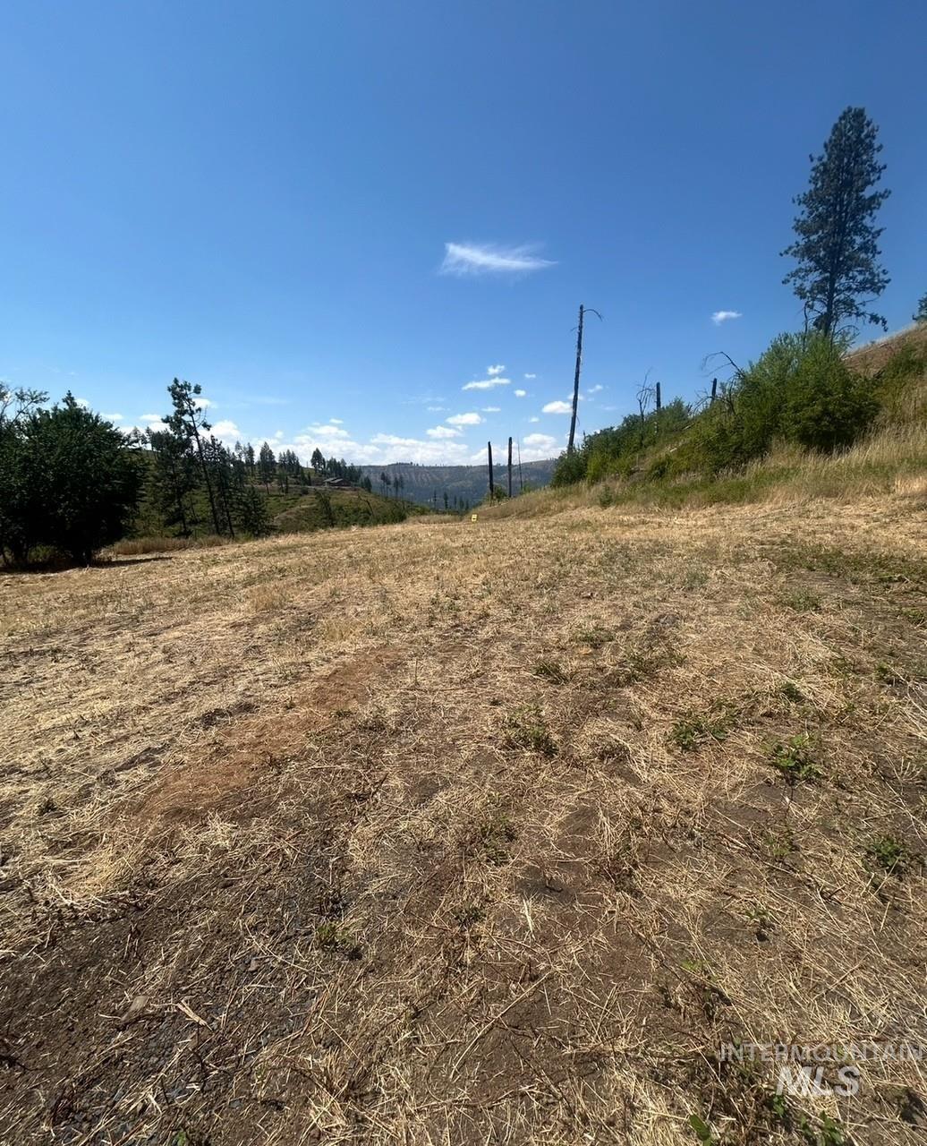 355 Glenwood Road Kamiah, ID 83536 - Photo 8 of 12