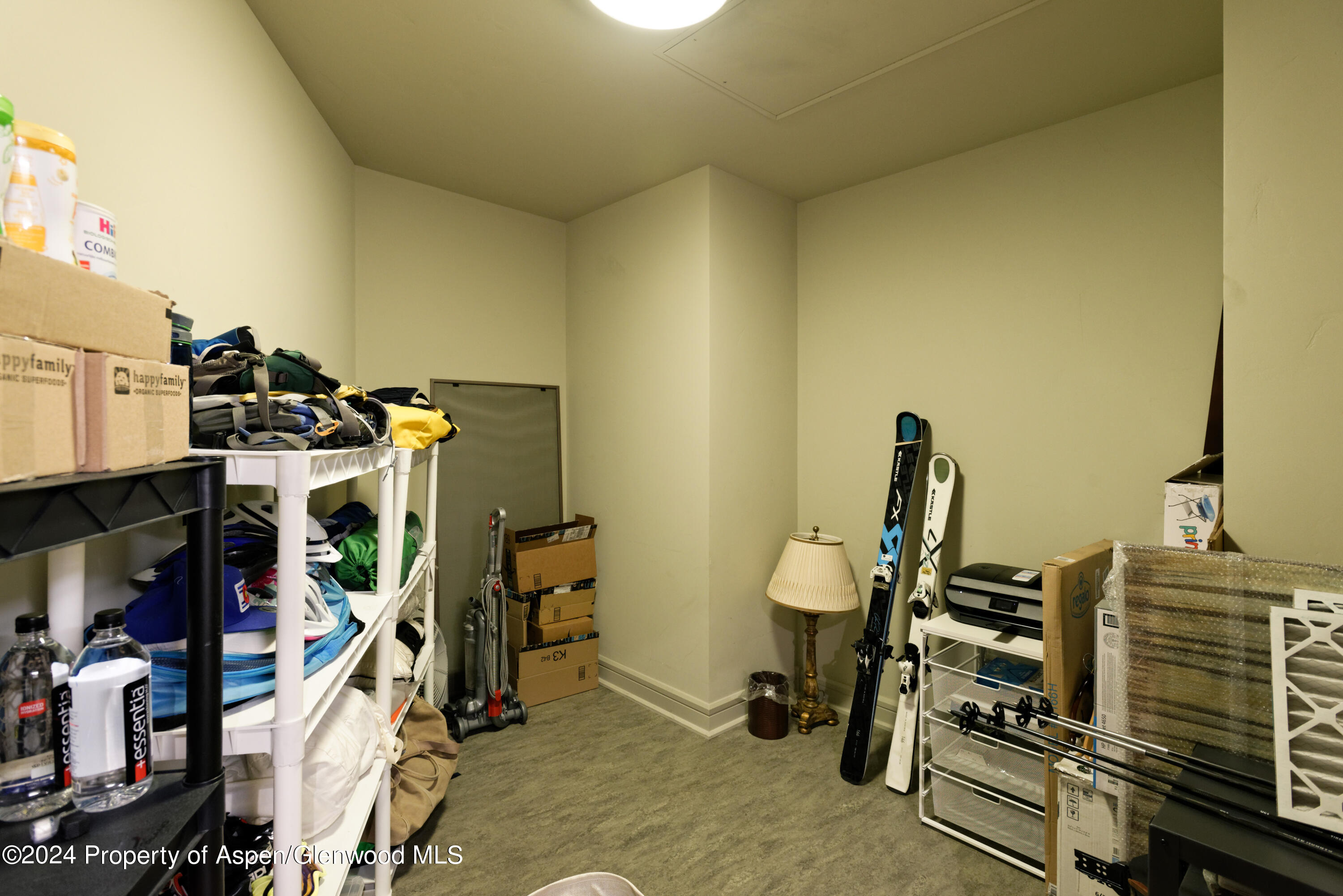 501 Rio Grande Place, Unit 204 Aspen, CO 81611 - Photo 20 of 21 Storage Room Inside Unit