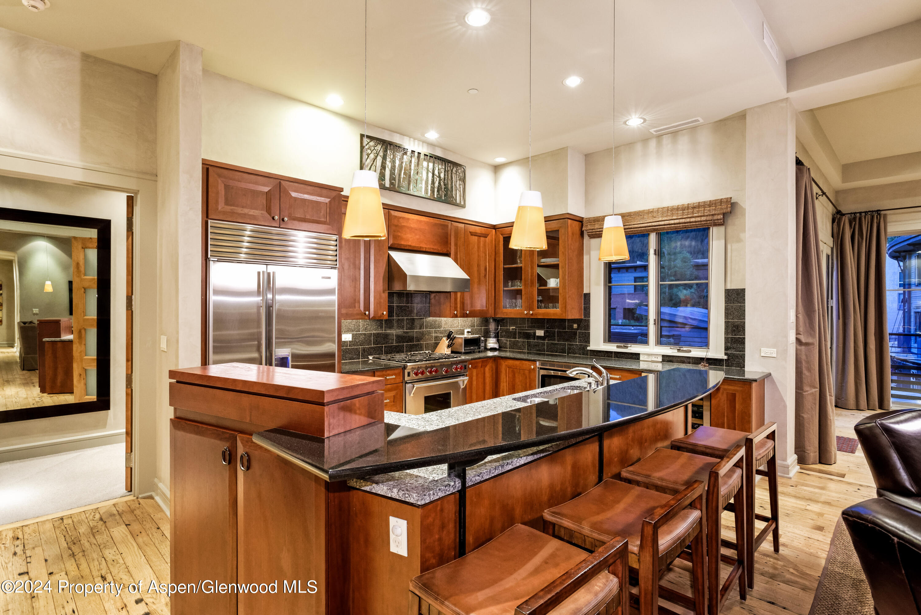 501 Rio Grande Place, Unit 204 Aspen, CO 81611 - Photo 9 of 21 501RioGrande204_HiRes020