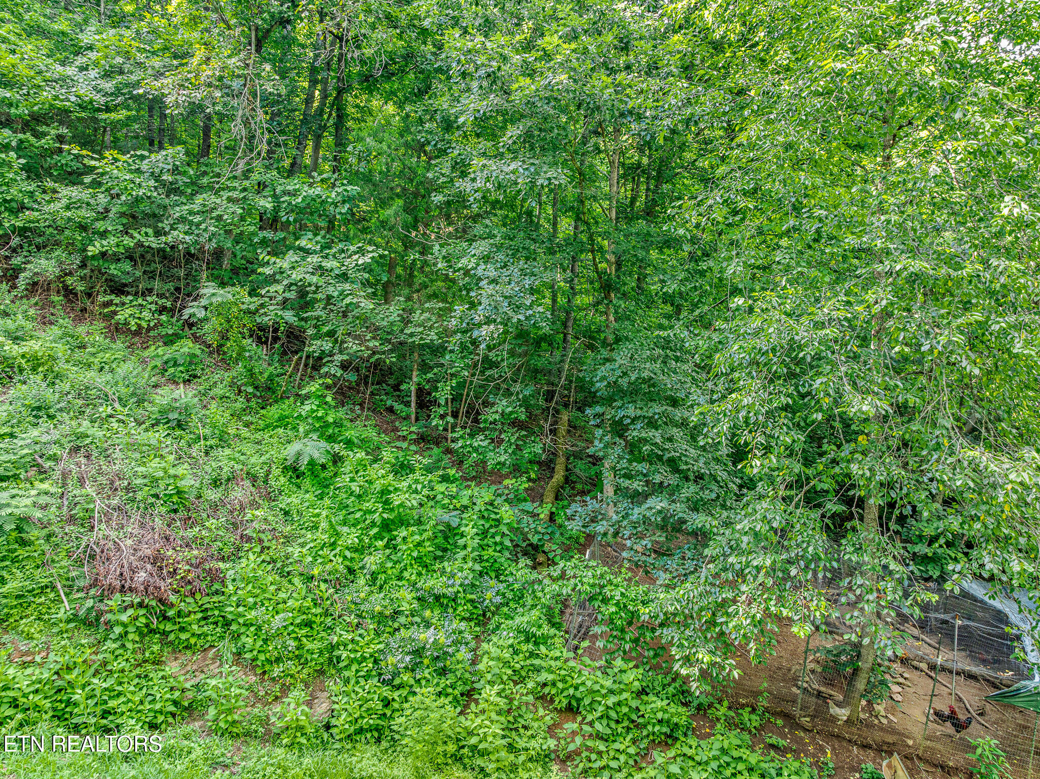 Henderson Springs Road Pigeon Forge, TN 37863 - Photo 4 of 14 DJI_0742