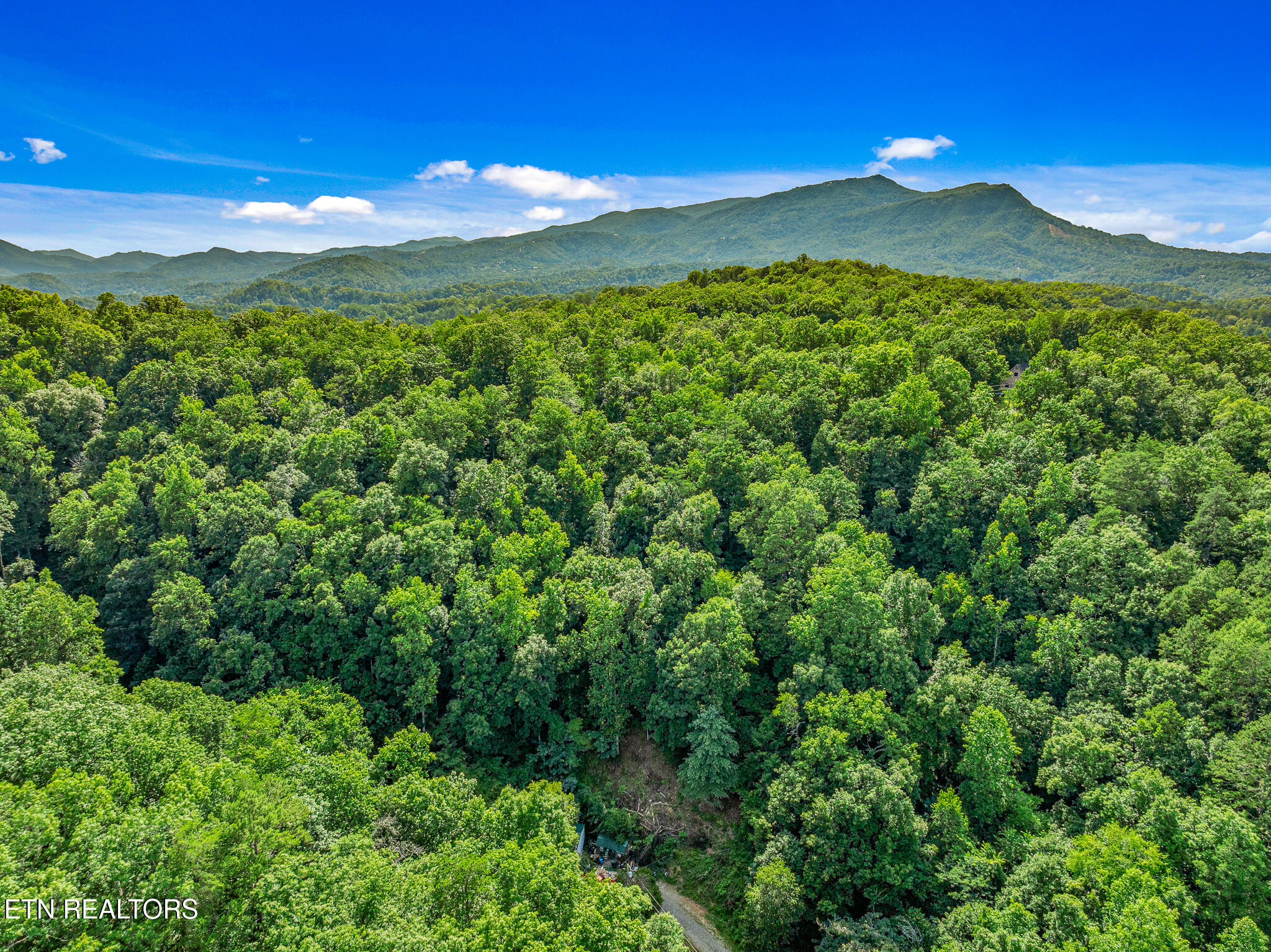 Henderson Springs Road Pigeon Forge, TN 37863 - Photo 5 of 14 DJI_0751