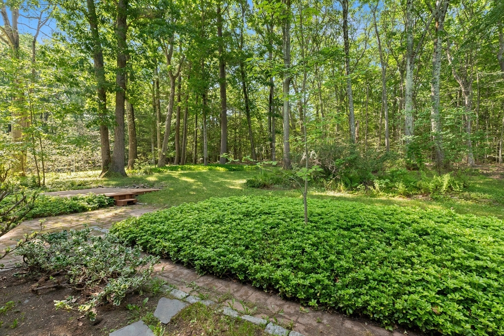 31 Kimball Road Amesbury, MA 01913 - Photo 32 of 40 a view of a green field with lots of bushes