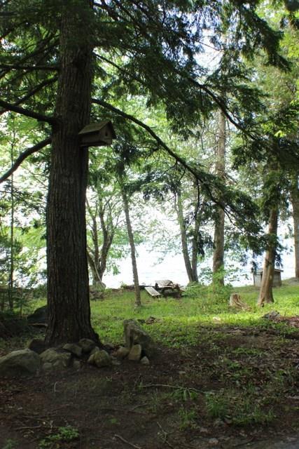 208 Camp Road Cooper, ME 04657 - Photo 16 of 36 Photo