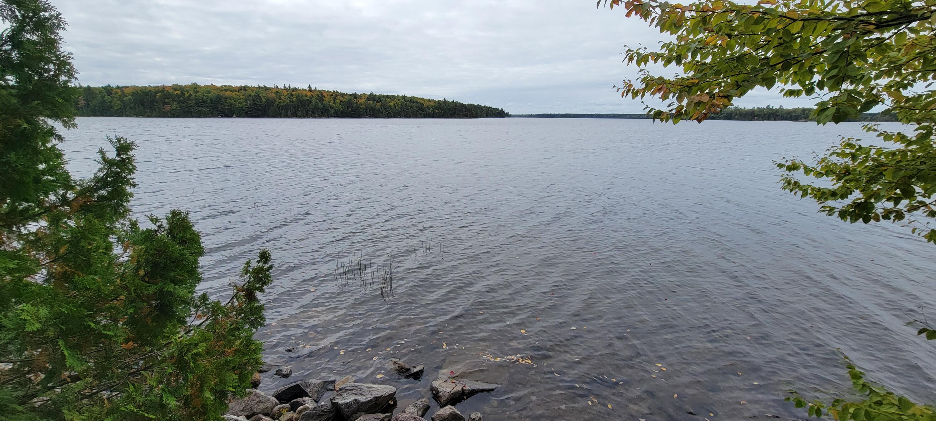 208 Camp Road Cooper, ME 04657 - Photo 19 of 36 1000012764