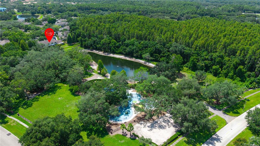 5100 Burchette Road, Unit 404 Tampa, FL 33647 - Photo 23 of 41