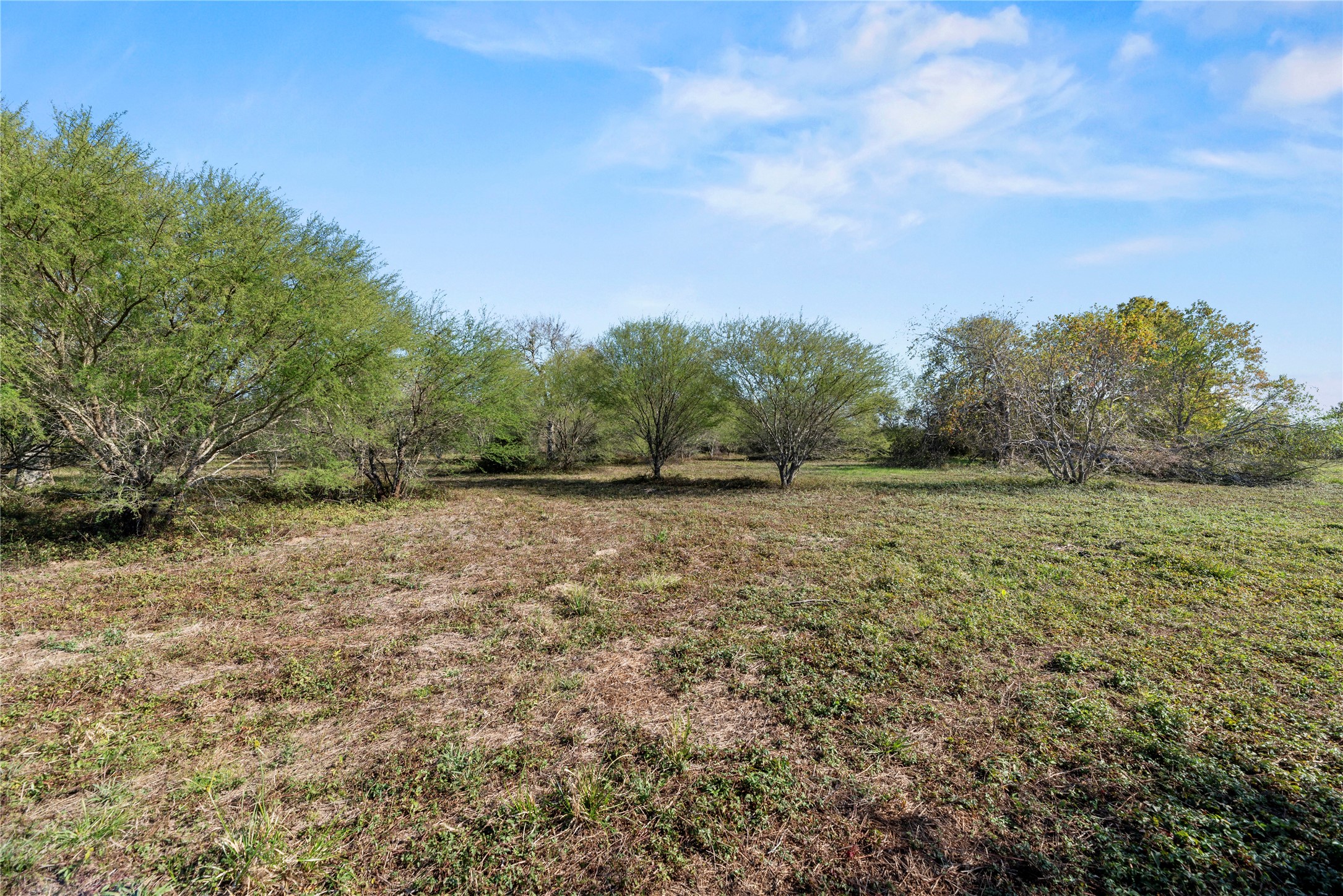 6490 Adams Flat Road Brookshire, TX 77423 - Photo 22 of 39