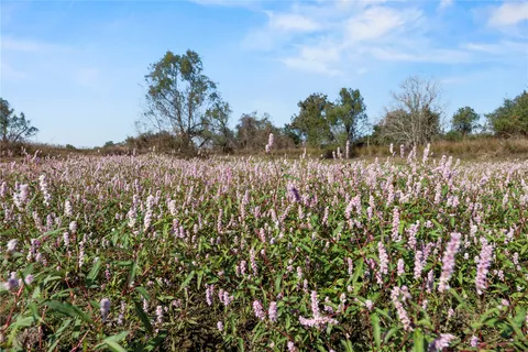 $4,500,000 | 6490 Adams Flat Road, Brookshire, TX 77423