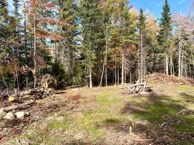 $25,000 | Xx South Meadow Road, Perry, ME 04667