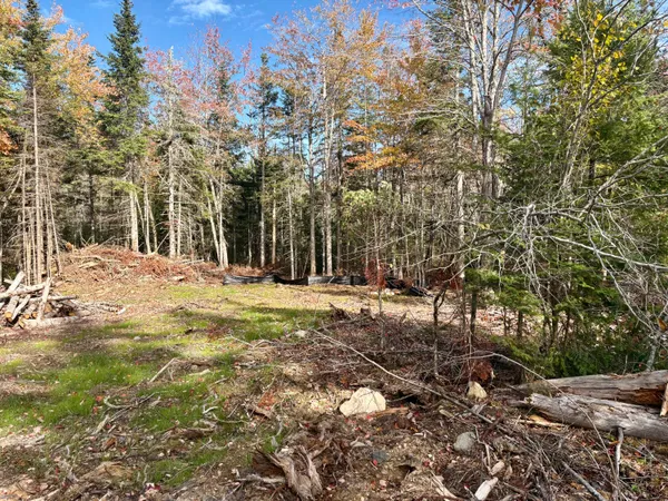 $25,000 | Xx South Meadow Road, Perry, ME 04667