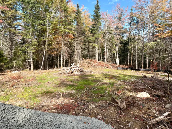 $25,000 | Xx South Meadow Road, Perry, ME 04667
