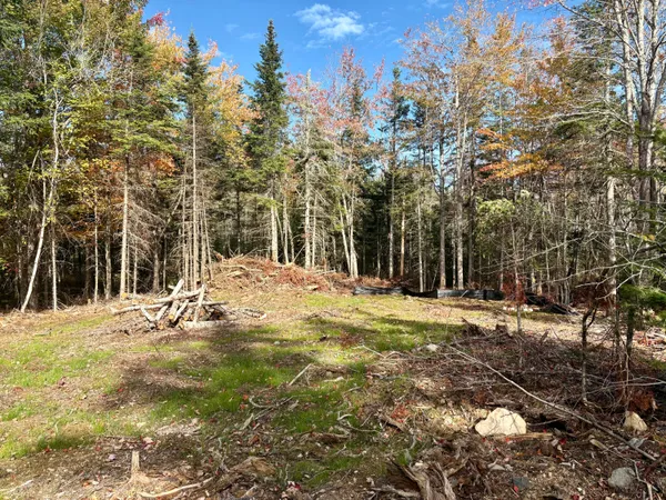 $25,000 | Xx South Meadow Road, Perry, ME 04667