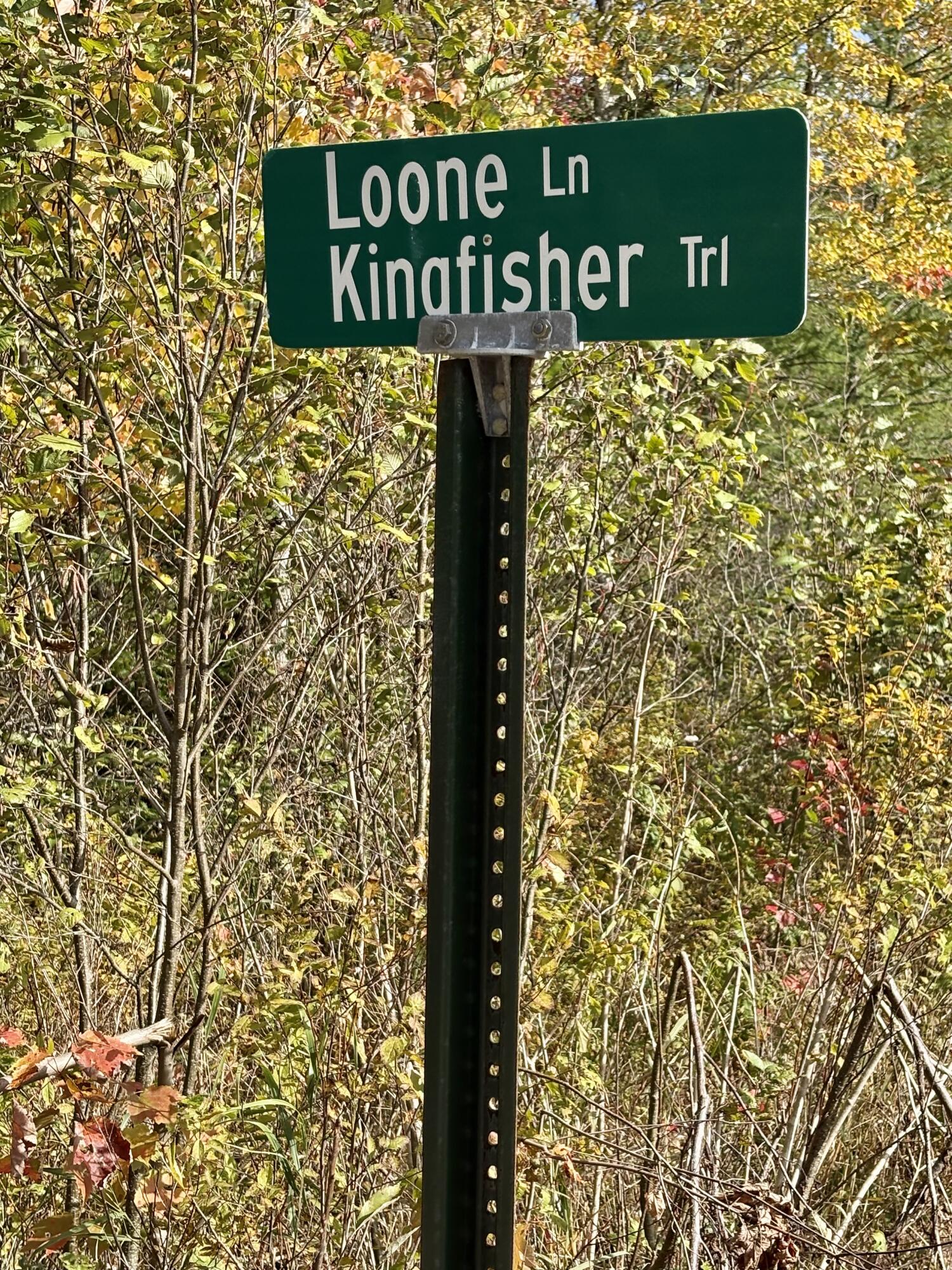 Xx South Meadow Road Perry, ME 04667 - Photo 5 of 12 IMG_0316