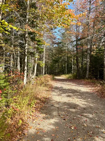 $25,000 | Xx South Meadow Road, Perry, ME 04667