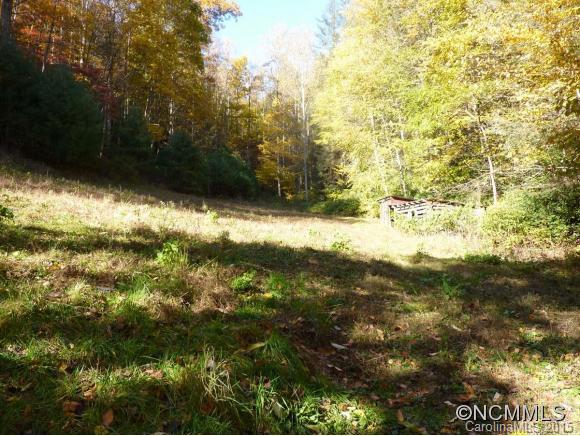 584 Rabbit Den Road Hot Springs, NC 28743 - Photo 8 of 12 Gallery Image 8