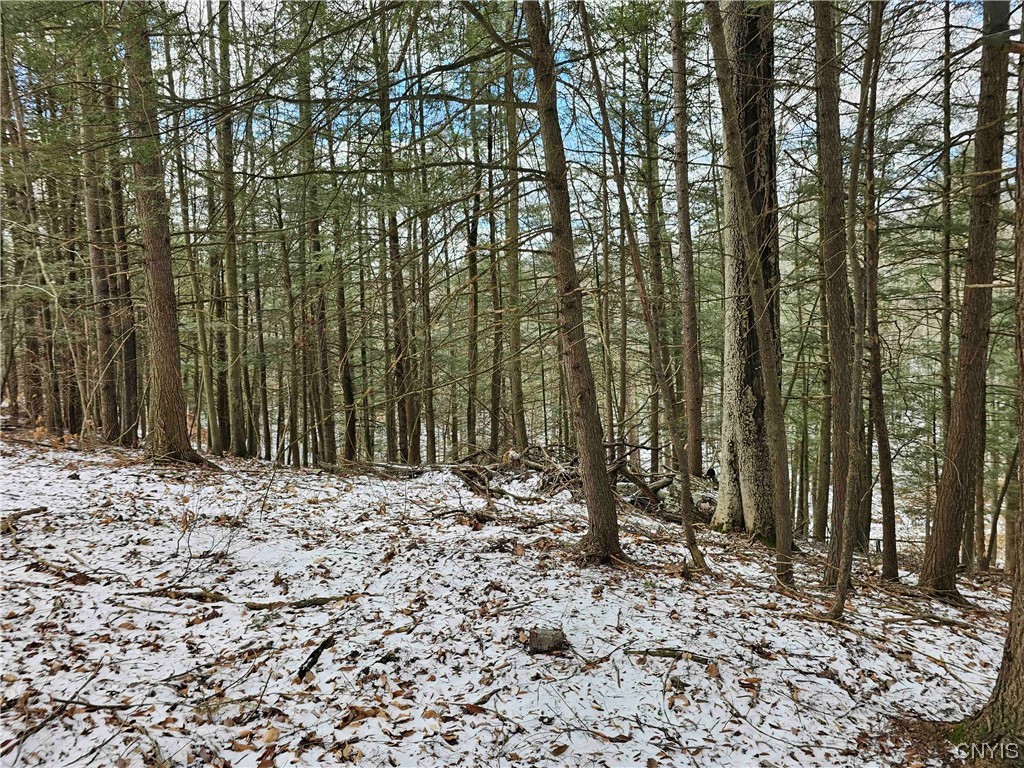 634 Ringwood Road Ithaca, NY 14850 - Photo 18 of 50