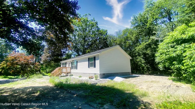 a view of a backyard with plants and large trees