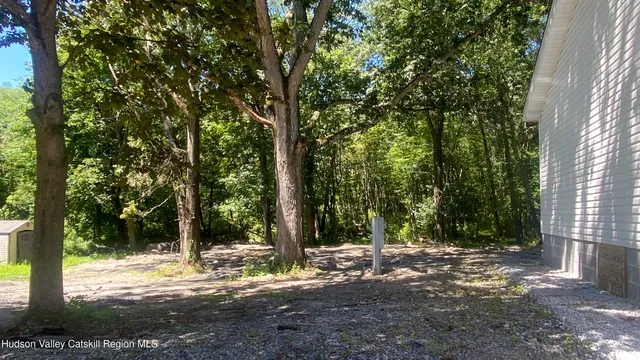 a view of a yard with large trees
