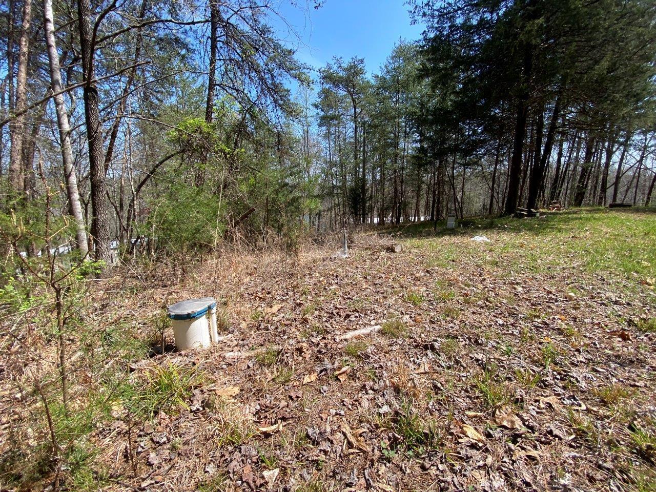 6200 Hardy Road Hardy, VA 24101 - Photo 3 of 28 a view of a backyard of the house