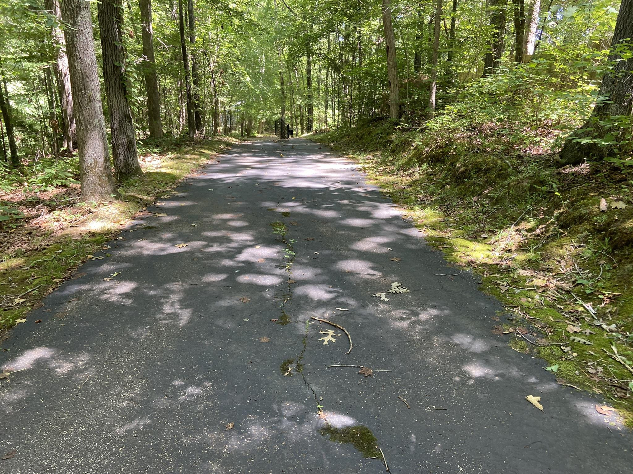 70 Mockingbird Road Henderson, TN 38340 - Photo 39 of 47 a view of outdoor space with trees