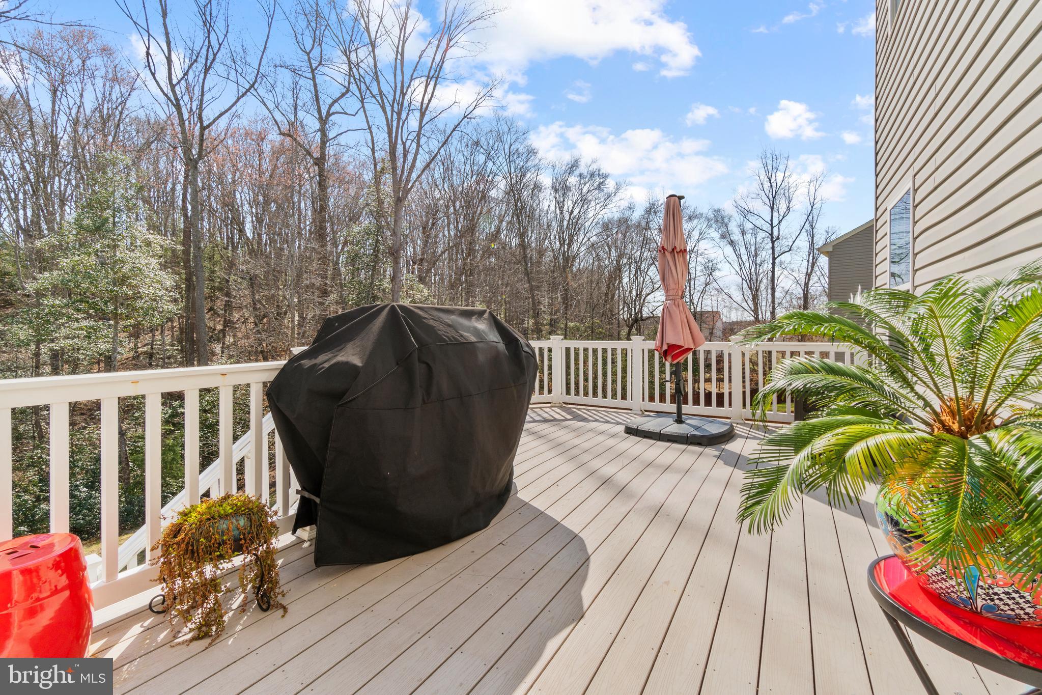 24 Naples Road Stafford, VA 22554 - Photo 9 of 37