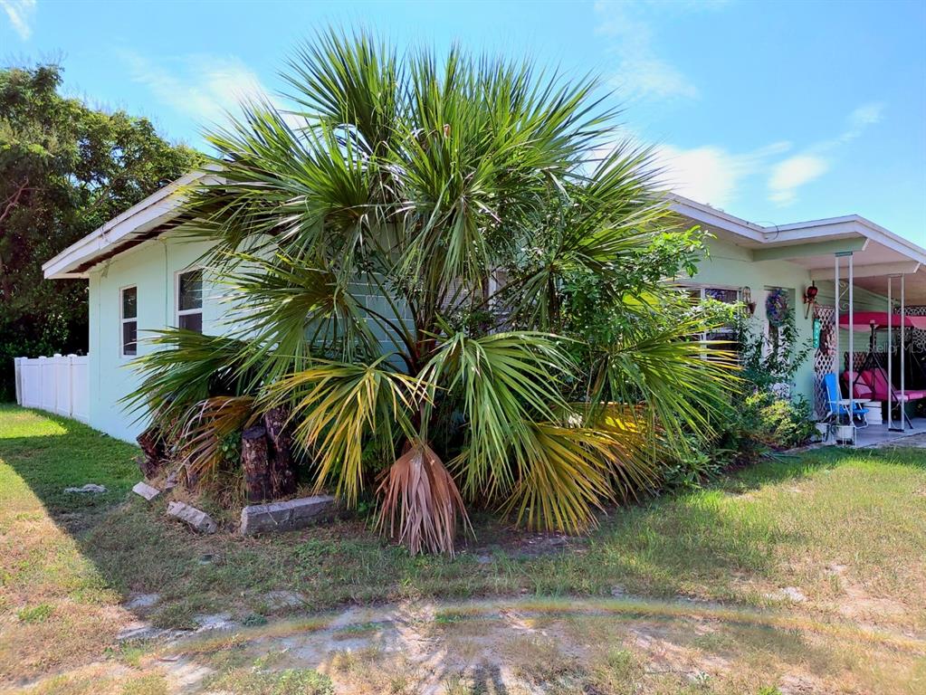 5344 Tangerine Drive New Port Richey, FL 34652 - Photo 15 of 35