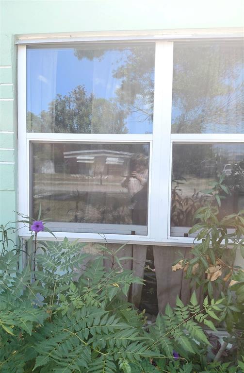 5344 Tangerine Drive New Port Richey, FL 34652 - Photo 21 of 35