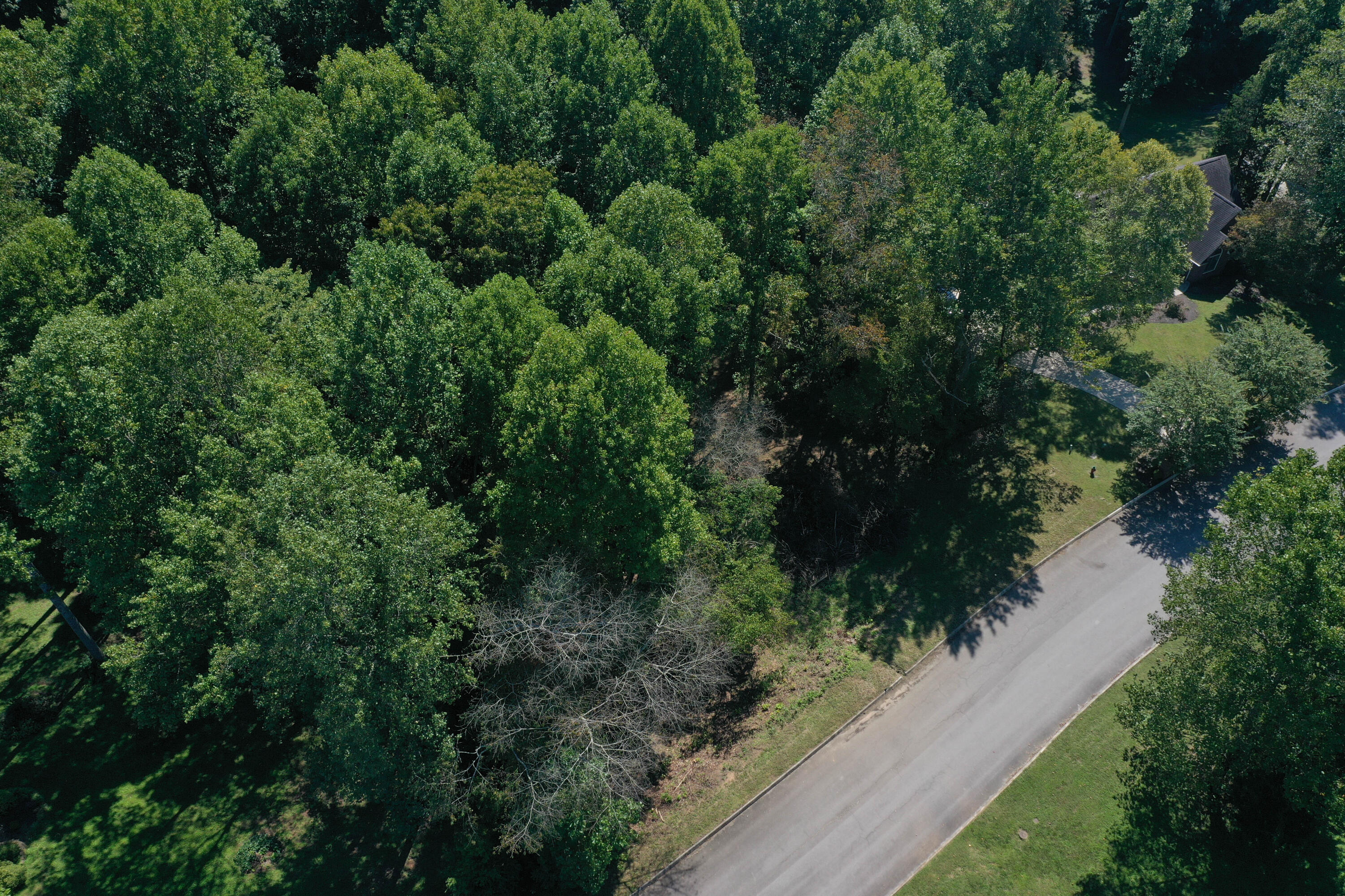 Apple Tree Drive Clinton, TN 37716 - Photo 5 of 7 DJI_0953