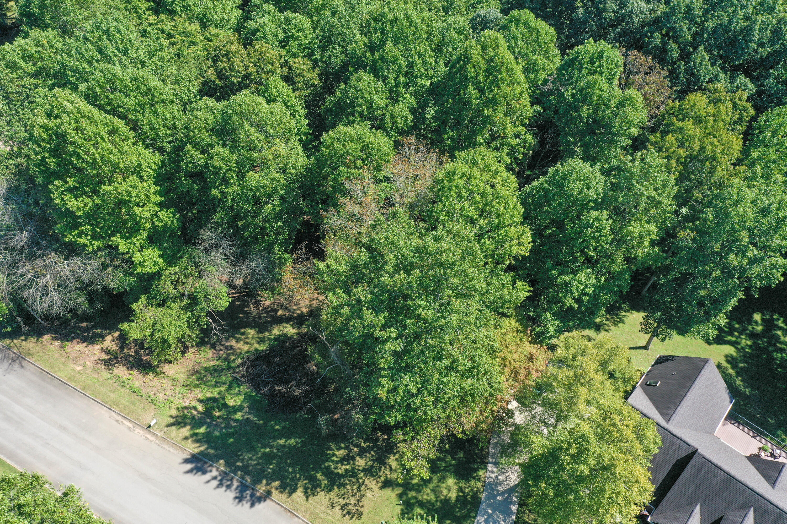 Apple Tree Drive Clinton, TN 37716 - Photo 6 of 7 DJI_0954