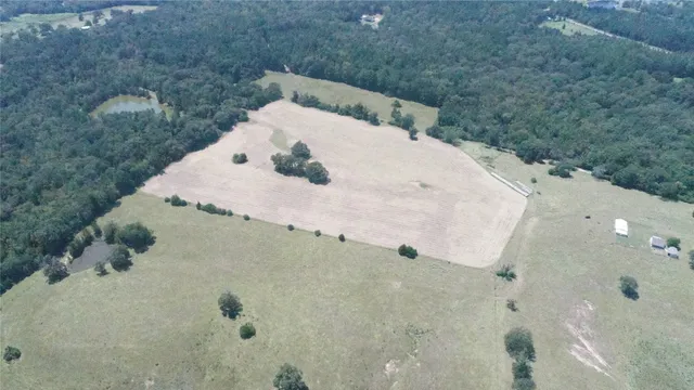 a view of a lake with a tree