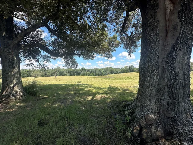 a view of a backyard of a house