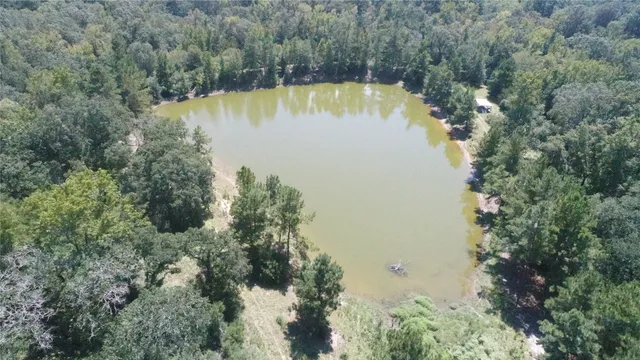 a view of a lake with a city