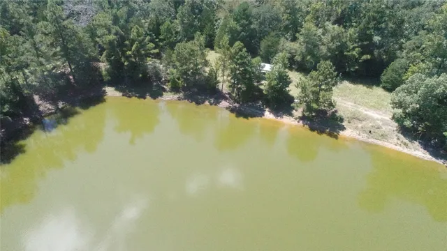 a view of a dry yard with wooden fence