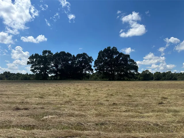 a view of a lake in between the city and lake view
