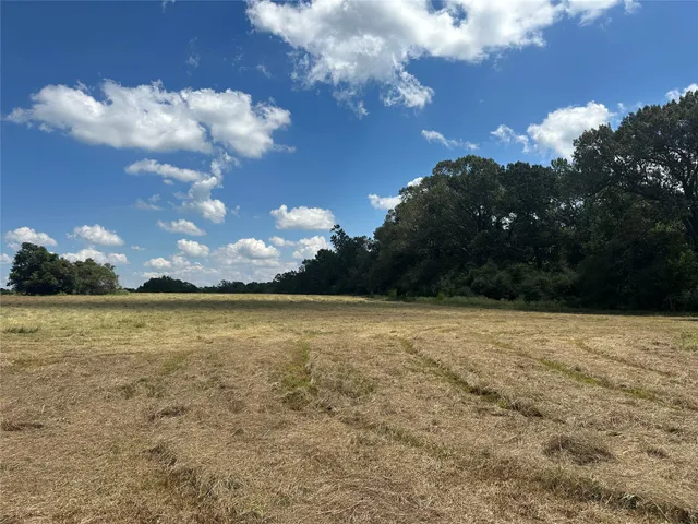 a view of lake with green space