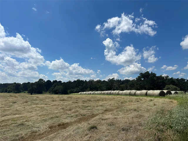 a view of a lake with houses in the background