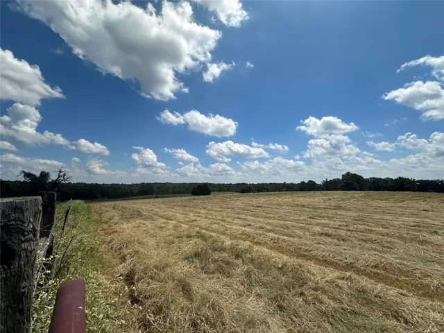 a black and white photo of a mirror