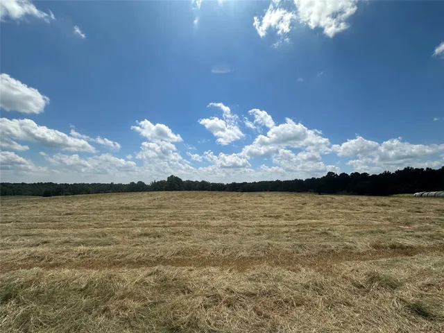 $1,350,000 | 3260 Cr 282 Buffalo Tx 75831, Buffalo, TX 75831