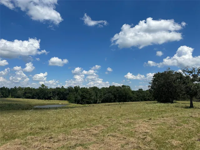 $1,350,000 | 3260 Cr 282 Buffalo Tx 75831, Buffalo, TX 75831