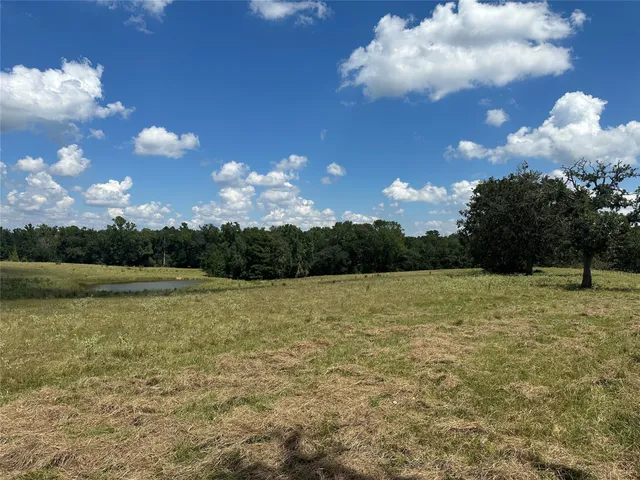 $1,350,000 | 3260 Cr 282 Buffalo Tx 75831, Buffalo, TX 75831