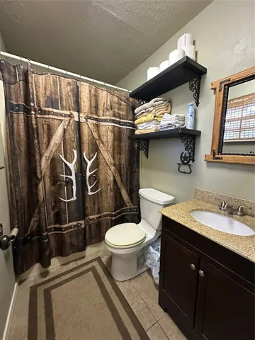 a bathroom with a sink and a toilet