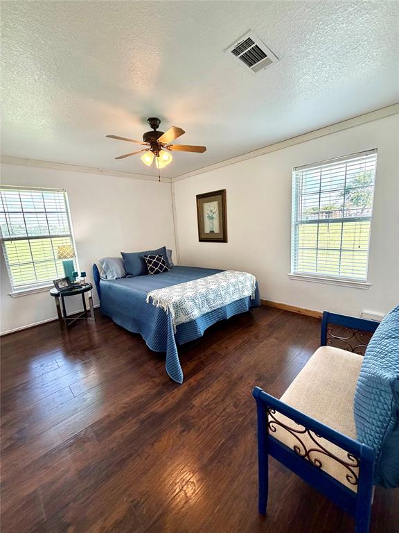 826 Gilliland Road Springtown, TX 76082 - Photo 17 of 28 Large Primary Bedroom with Ensuite that overlooks the backyard