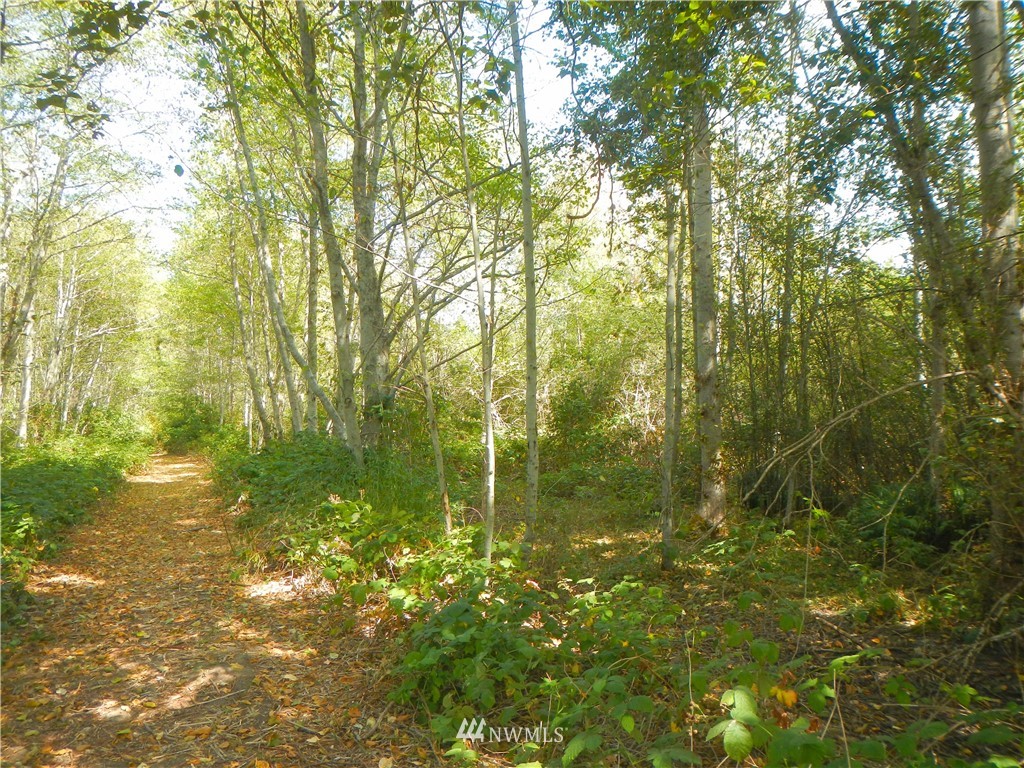 -xxx Gulf Road Point Roberts, WA 98281 - Photo 1 of 10 Gallery Image 1