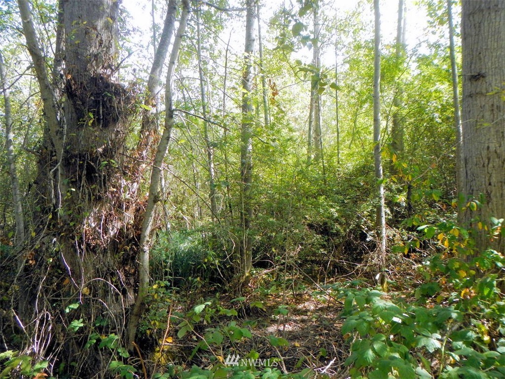 -xxx Gulf Road Point Roberts, WA 98281 - Photo 2 of 10 Gallery Image 2