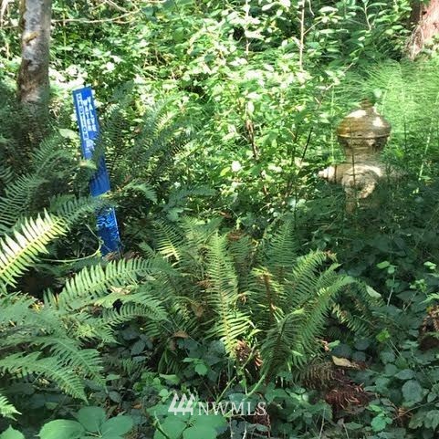 -xxx Gulf Road Point Roberts, WA 98281 - Photo 4 of 10 Gallery Image 4